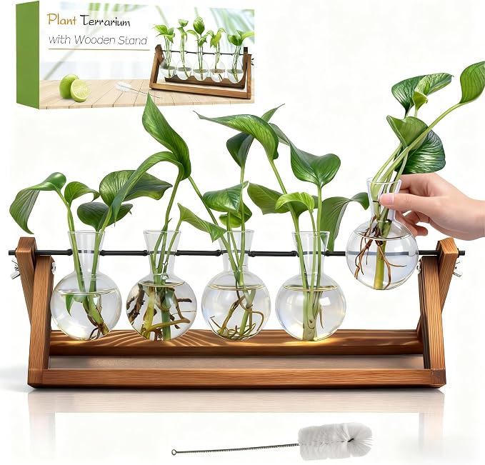 Renmxj Plant Propagation Stations with Wooden Stand & 5 Glass Bulb Vases | Plant Terrarium for Indoor Plants, Home Office Desk Decor, Gardening Gifts for Women Mom, Birthday Gifts for Plants Lovers