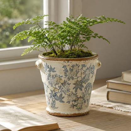 Dosayes Vintage Ceramic Flower Pot with Drainage Holes and Handle,Ice Crack Country Rustic Planters for Indoor Outdoor,Tuscan Decor,Home and Garden Decor,Gardening Present