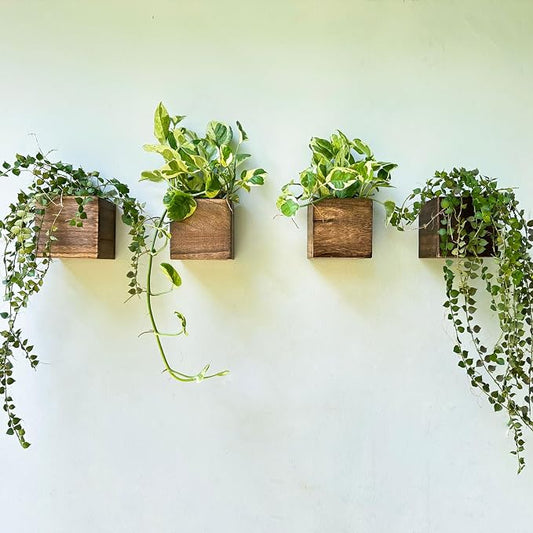 LaLaGreen Wall Planter for Indoor Plants (4x4, 4 Pack) Hanging Wooden Boxes | Square Wood Flower Pots, Wall Mounted Window Box Plant Holder Living Room Bedroom Kitchen Vertical Garden Home Decor