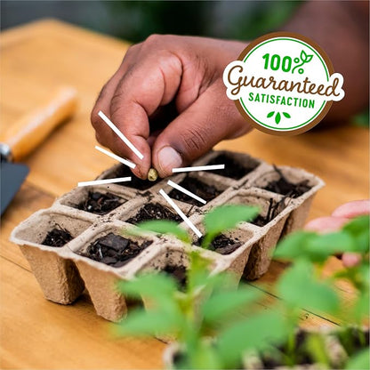 Back to the Roots Grow Kit Refill Pack