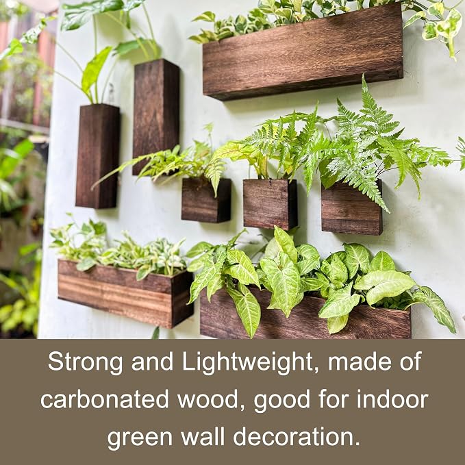 LaLaGreen Wood Planter Box for Plants (8 Pack) Wall Planters for Indoor | Wooden Hanging Plant Holder Vase for Dried Flowers, Modern Country Rustic Living Room Bedroom Office Home Garden Decor