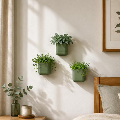 Phoenix Vine 3.5 Inch Wall Mounted Self-Watering Planter Pot for Indoor Houseplants and Herbs | Hanging Planter for Window Sills, Bathroom Walls, Home & Office Décor, Olive, Set of 2, 01-A-F-2
