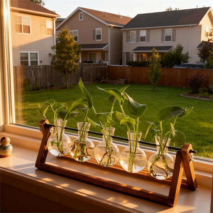 Renmxj Plant Propagation Stations with Wooden Stand & 5 Glass Bulb Vases | Plant Terrarium for Indoor Plants, Home Office Desk Decor, Gardening Gifts for Women Mom, Birthday Gifts for Plants Lovers