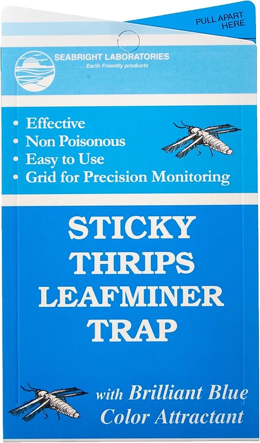 Seabright HGSLTLT Sticky Thrip Leafminer Trap, Pack of 5