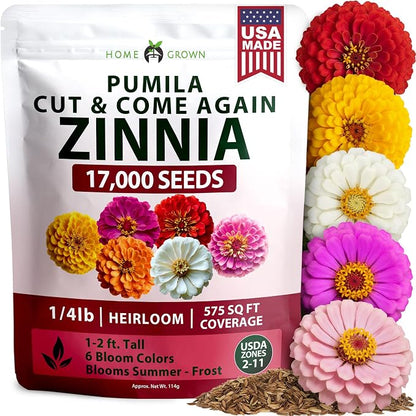 HOME GROWN Zinnia Seeds Mix – 17,000 Pumila Compact Zinnia Flower Seeds for Planting Outdoors | Bulk Colorful Annual Cut Flowers for Summer Gardens & Containers (Zinnia elegans)