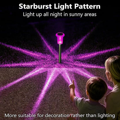 DenicMic Solar Outdoor Lights 10 Pack Pink LED Valentines/Mothers Day Decor | Garden Decor for Outside Yard Patio Flowerbed Pathway Starburst Pattern, Acrylic Diamond-like Lampshade Stainless Steel Pole
