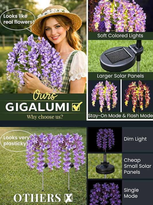 GIGALUMI Solar Lights Outdoor for Garden Decor, 3 Pack Solar Flower Lights Waterproof, 2 Lighting Modes Wisteria for Pathway,Yard, Patio Decoration, Gardening Gifts for Women (Purple)