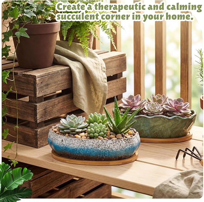 Succulent Pot 12 Inch Large Succulent Planters Ceramic Glazed Bonsai Pot with Bamboo Tray Round Shallow Planter for Indoor Cactus Flower Planter Window Box for Home Garden Decor (Blue and White)