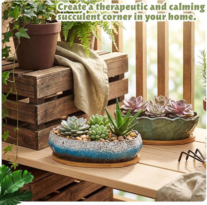 Succulent Pot 12 Inch Large Succulent Planters Ceramic Glazed Bonsai Pot with Bamboo Tray Round Shallow Planter for Indoor Cactus Flower Planter Window Box for Home Garden Decor (Blue and White)
