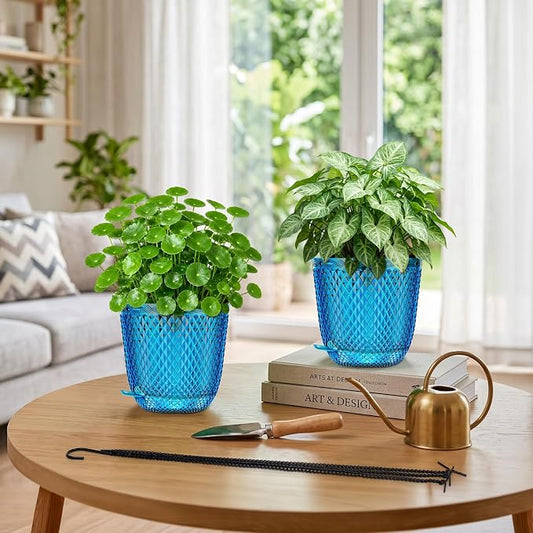 QCQHDU 5.7 Inch 2 Pack Small Hanging Planters for Indoor Outdoor Plants,Self Watering Flower Pots Hanging Basket Plant Hanger with Drainage Holes and 3 Hooks for Window Porch Garden Balcony, (Blue)