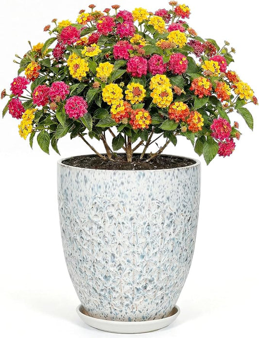 9.5 Inch Flower Pots for Indoor Plants,Ceramic Planter with Saucer Drainage Leak-Proof Mesh Gardening Gloves (Spotted Blue)