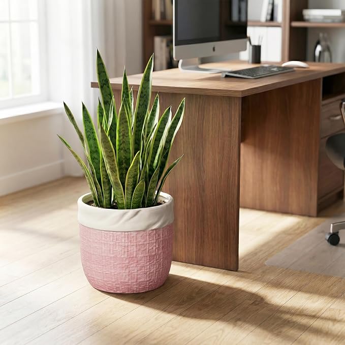 9.8 Inch Plant Pot - Ceramic Planter with Drainage Hole and Plug, Round Boho Planters for Indoor Plants Outdoor, Ceramic Flower Pots, Balcony Office Decor, Gifts for Plant Lovers, Pink