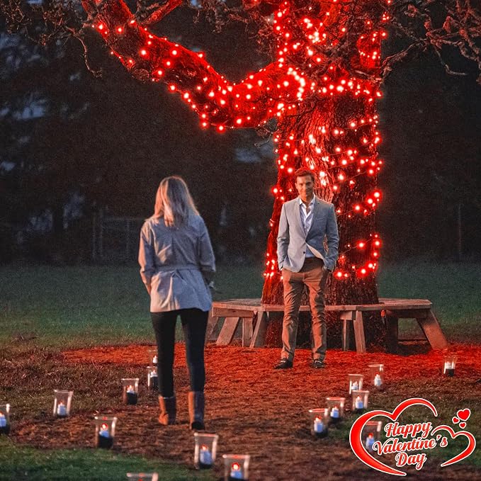 100FT 300 LED Christmas Lights Outdoor Indoor, Plug in, Green Wire, Red | Waterproof Christmas Tree Lights 8 Lighting Modes Connectable String Lights for Outside Patio Garden Xmas Holiday Decorations