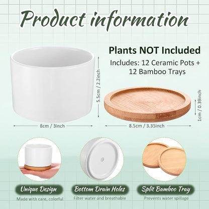 Cindeer 12 Sets Succulent Plant Pot Ceramic Succulent Pots Container Cactus Pots with Bamboo Tray Small Cylinder Flower Plant Pot with Bamboo Saucers for Plants Indoor Outdoor(White,3 x 2.17 Inch)