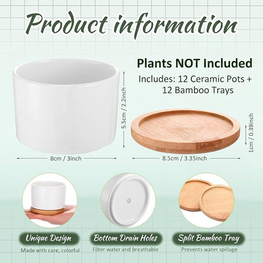 Cindeer 12 Sets Succulent Plant Pot Ceramic Succulent Pots Container Cactus Pots with Bamboo Tray Small Cylinder Flower Plant Pot with Bamboo Saucers for Plants Indoor Outdoor(White,3 x 2.17 Inch)