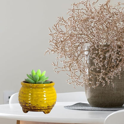 ARTKETTY Succulent Pots - Small Succulent Plant Pots with Drainage Set of 6, Ceramic Cactus Planter Pots for Indoor Unique Flower Planter Container for Home Office Decor