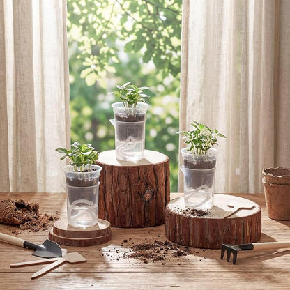 30 Pcak 2.2'' Small Self Watering Planters for Indoor Plants Mini Clear Pots with Water Level Indicator Plastic Automatic-Watering Pot with Drainage Holes for Semi-hydroponic African Violet