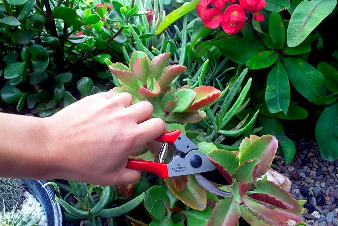 Corona Tools Yard Essentials Pocket Pruner