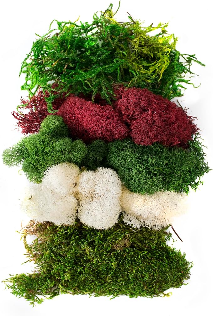 SuperMoss (23308) Moss Mix – Premium Decorative Moss for Crafts, Terrariums, Wedding & Table Décor, 80.75 cu in, Christmas