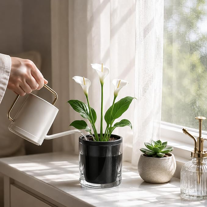 D'vine Dev 6 Inch Design Self Watering Planter for Indoor Plants, Black Terracotta Pot with Cylinder Glass Cup, Set of 2, 37-Y-B-3