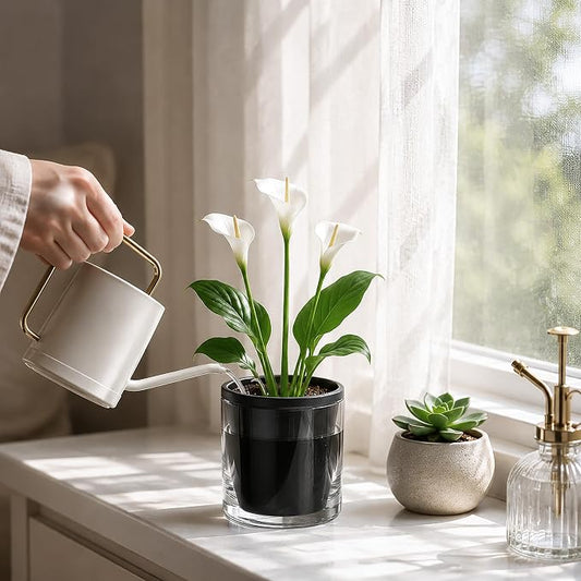 D'vine Dev 6 Inch Design Self Watering Planter for Indoor Plants, Black Terracotta Pot with Cylinder Glass Cup, Set of 2, 37-Y-B-3