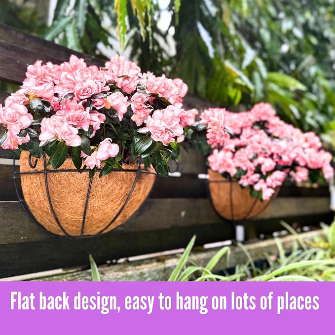 ShopLaLa Wall Hanging Planter for Outdoor Plants (12 Inch, 2 Pack) Wall Mounted Flower Baskets with Coco Liner for Outside Plant, Fence Railings Pots Holder Balcony Deck Porch Modern Garden Decor