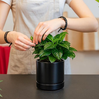 D'vine Dev 4.7 Inch Ceramic Planter Pot, Black, 94-O-B-2 | Modern Cylinder Design, Drainage Hole & Saucer Included, Stable Structure, Elegant Home Accent
