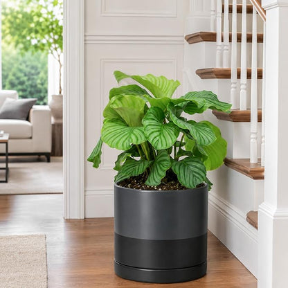 D'vine Dev 10 Inch Ceramic Planter Pot with Drainage Hole and Saucer, Indoor Cylinder Round Planter Pot, Slate, 94-O-E-5