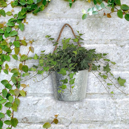 XONOR 4Pcs Galvanized Metal Hanging Wall Planter, Rustic Wall Flower Vase for Succulents Herbs Country Home Farmhouse Decoration (1)