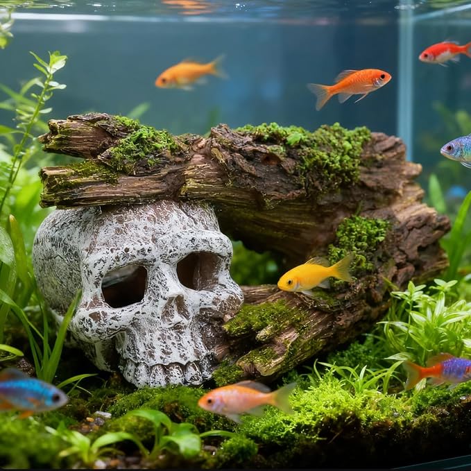 Fish Tank Decorations, Large Aquarium Decor Accessories with Skull and Driftwood, Bearded Dragon Hideout, Reptile & Amphibian Habitat Hideouts