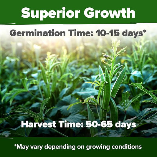 HOME GROWN Clemson Spineless Okra Seeds 101+ Heirloom Non-GMO Vegetable Seeds for Planting, Easy to Grow Summer Garden, High Germination, Heat Tolerant, Tender Green Pods (Abelmoschus esculentus)