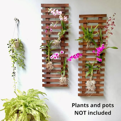 ShopLaLa Wall Planter (90cm, 2 Pack) Hanging Planters for Indoor Plants | Air Plant Succulent Holder, Plant Stand, Vertical Garden Large Stylish Wall Decor for Living Room, Room Decor for Teens