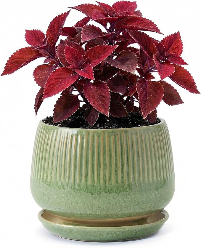 7.5 Inch Ceramic Planter with Saucer,Modern Garden Pots with Drainage Hole Mesh Net, for Indoor Outdoor Use (Crackle Green)