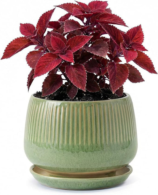 7.5 Inch Ceramic Planter with Saucer,Modern Garden Pots with Drainage Hole Mesh Net, for Indoor Outdoor Use (Crackle Green)