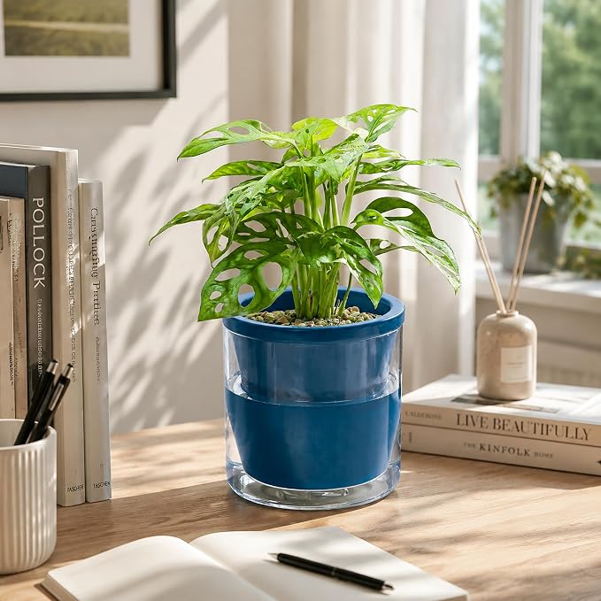D'vine Dev 6 Inch Design Self Watering Planter for Indoor Plants, Blue Terracotta Pot with Cylinder Glass Cup, 37-X-B-4