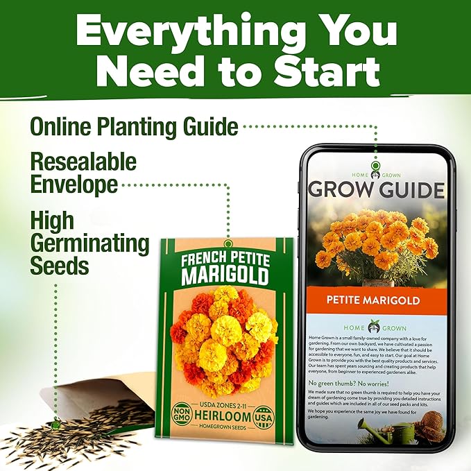 HOME GROWN Petite French Marigold Seeds 329+ Flower Seeds for Planting Outdoors Non GMO Easy to Grow Companion Plant & Quick Blooming Pollinator Heirloom Wildflower Seed (Tagetes patula)