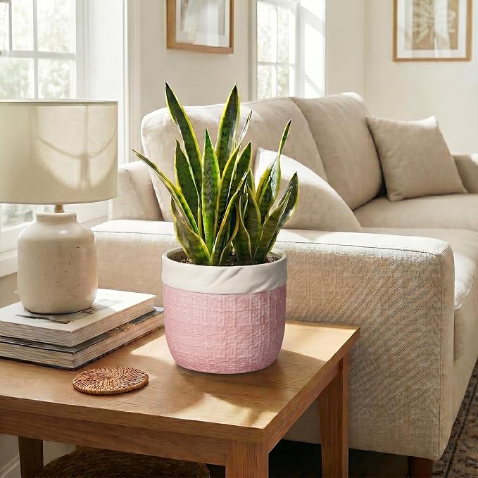 Ceramic Plant Pots - 8 Inch Planter for Indoor Plants Outdoor, Decorative Planter with Drainage Hole and Plug, Boho Round Unique Flower Pots, Home Decor, Gifts for Plant Lovers, Pink