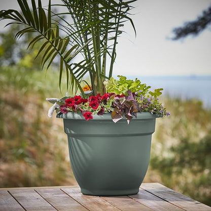 Bloem Ariana 16" Plastic Self-Watering Planter, Basil, 2-Pack | Self-watering disk at the bottom of each pot that acts as a water wick and reservoir for optimal plant health