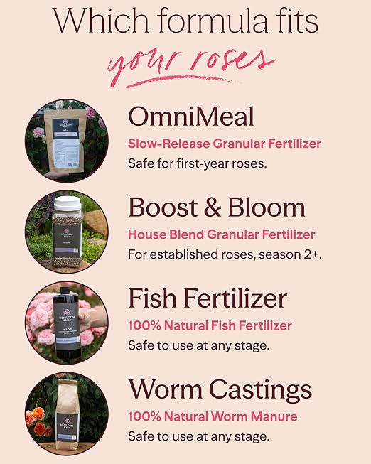 Heirloom Roses Mint Compost,100% Natural,Top Soil Amendment for Rose Planting, Rich in Micronutrients and Nitrogen for Garden Vegetables and Flowers, 26 Quart Box
