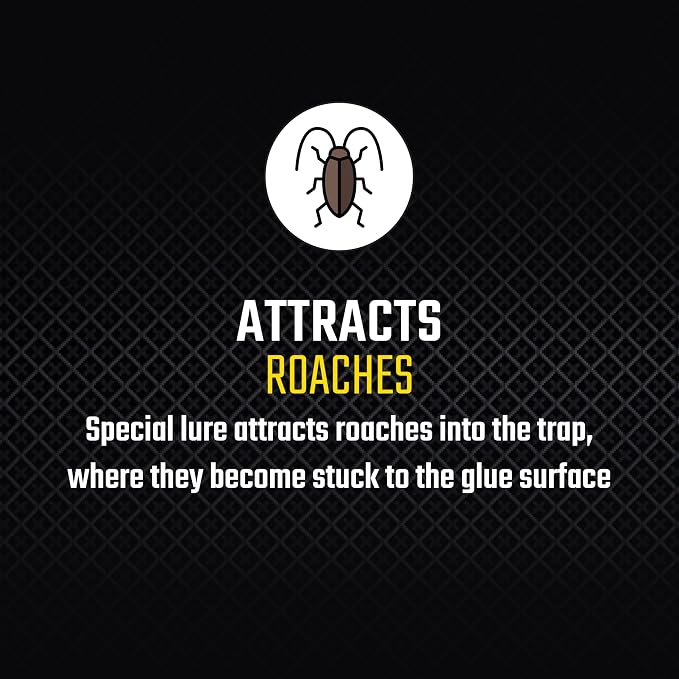 Black Flag Roach Motel Traps, 2-Count, 1-Pack