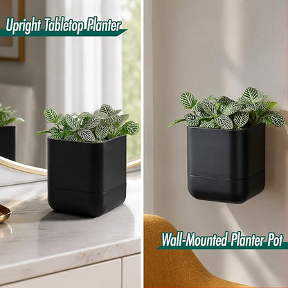 Phoenix Vine 4.5 Inch Wall Mounted Self-Watering Planter Pot for Indoor Houseplants and Herbs | Hanging Planter for Window Sills, Bathroom Walls, Home & Office Décor, Black, Set of 4, 01-B-E-4