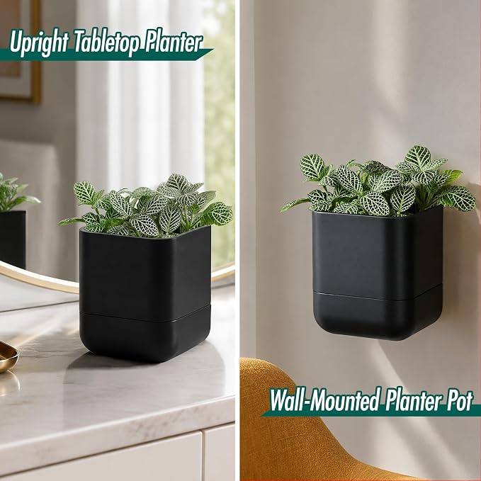 Phoenix Vine 4.5 Inch Wall Mounted Self-Watering Planter Pot for Indoor Houseplants and Herbs | Hanging Planter for Window Sills, Bathroom Walls, Home & Office Décor, Black, Set of 1, 01-B-E-1