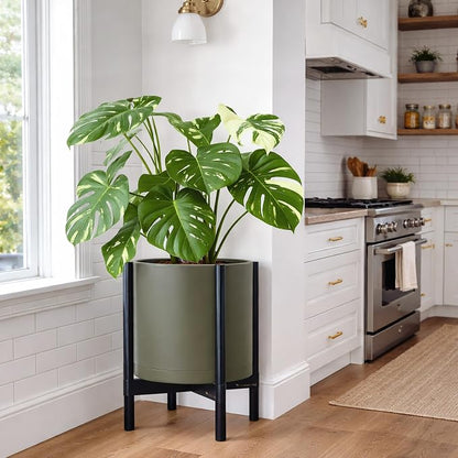 D'vine Dev Plastic Pot with Ebony Wood Stand, Olive, 14 in, 55-C-T-3 | Mid-Century Inspired Design, Elevated Plant Display, Clean Lines, Sturdy Support, Modern Space-Saving Style