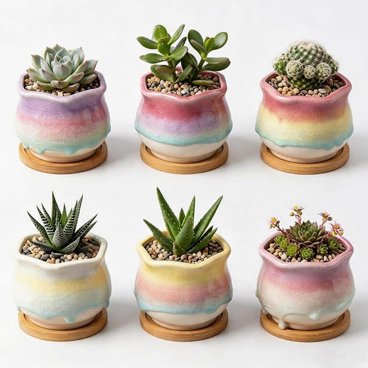 6 Pack Ceramic Succulent Planters, 3.54" W × 3.35" H Gradient Crackle Glaze Flower Pots for Succulents, Cacti, Small Plants, Creative Gardening Decorative Planter Containers