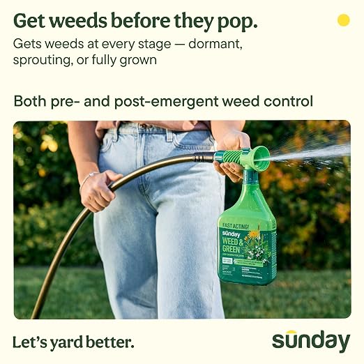 Sunday Weed & Green + Liquid Lawn Kickstart Spring Weed and Feed Kit, Pre-Emergent & Post-Emergent Lawn Weed Killer + 22-0-2 Lawn Fertilizer, Kills Dandelion + Crabgrass, for Lawns up to 5,000 sq ft
