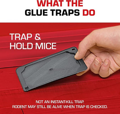 Tomcat Glue Traps Mouse Size with Eugenol for Enhanced Stickiness, 6 Traps | Sticky Pads For Mice, Cockroaches, and Spiders