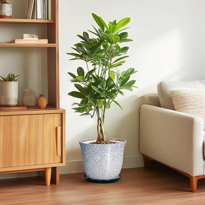 Ceramic Planter - 10 Inch Plant Pot for Indoor Outdoor, Round Planter with Drainage Hole and Plant Tray, Large Decorative Planters, Modern Flower Pot, Home Room Decor, Gardening Gift, Green