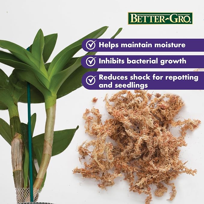Better-Gro Premium Grade Orchid Moss - 100% Natural,Imported Sphagnum Moss for Orchids,Ferns,and Hostas,Excellent for Hanging Baskets and Propagating Plants - 190 Cubic Inches,(Pack of 12)