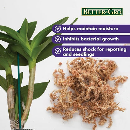 Better-Gro Premium Grade Orchid Moss - 100% Natural,Imported Sphagnum Moss for Orchids,Ferns,and Hostas,Excellent for Hanging Baskets and Propagating Plants - 190 Cubic Inches,(Pack of 12)