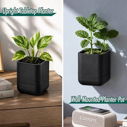 Phoenix Vine 3.5 Inch Wall Mounted Self-Watering Planter Pot for Indoor Houseplants and Herbs | Hanging Planter for Window Sills, Bathroom Walls, Home & Office Décor, Black, Set of 4, 01-A-E-4